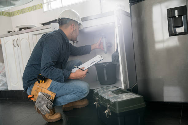 Best Same-Day Plumbing Service  in Steelevle, IL