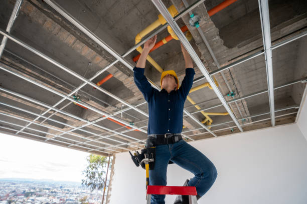 Best Best Plumbers Near Me  in Steelevle, IL