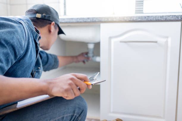 Best Sprinkler Systems  in Steelevle, IL