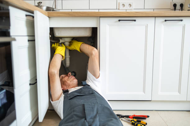 Best Local Plumber Services  in Steelevle, IL