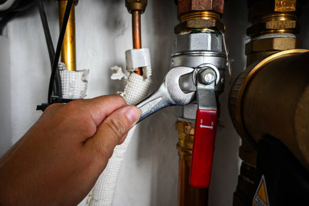 Best Sewer Cleaning Services  in Steelevle, IL